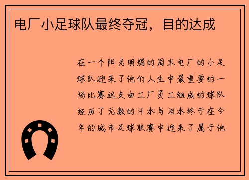 电厂小足球队最终夺冠，目的达成